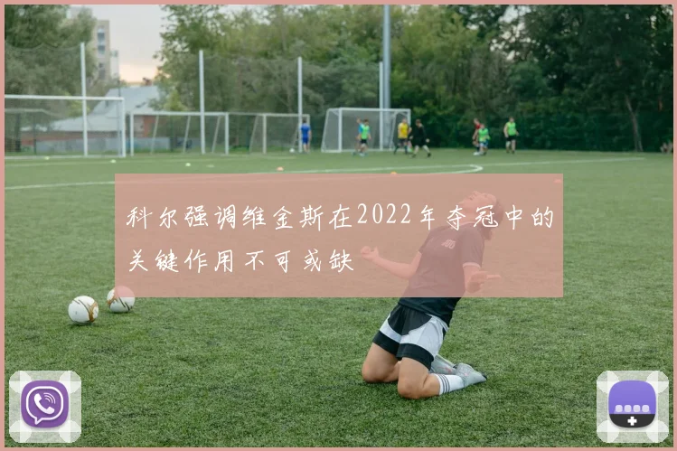 科尔强调维金斯在2022年夺冠中的关键作用不可或缺